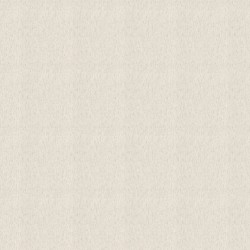 Обои 820539 Rasch Florentine Incanto 1.06x10.05