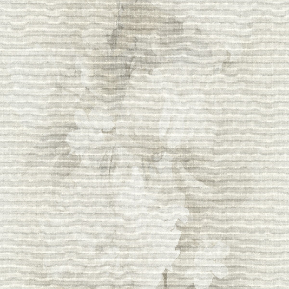 Обои ER12243-02 Erismann Aurora 1.06x10.05